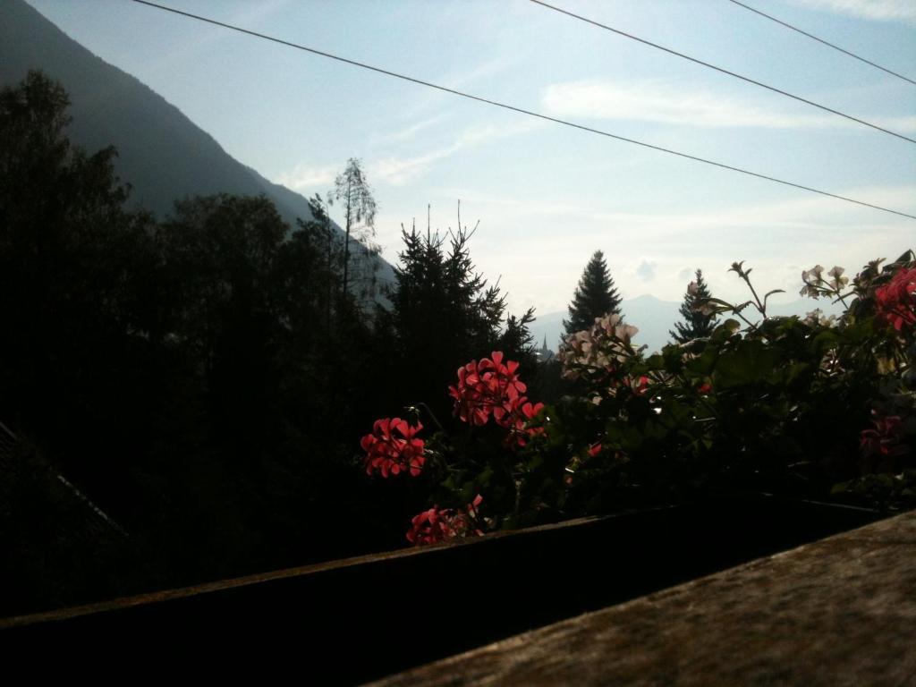 Pension Larchenhof เมาราค ภายนอก รูปภาพ